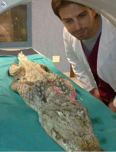Più posti per Veterinaria e Odontoiatria: ecco la mappa