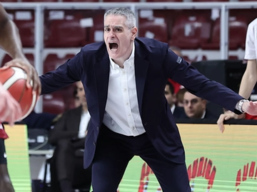 immagine articolo