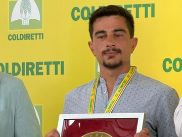 immagine articolo