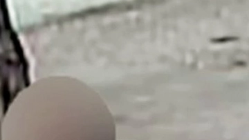 Dietro l’autonoleggio prostituzione, spaccio, rapine in villa e bancarotta fraudolenta. Presa banda italo albanese, sequestrati 2 milioni di euro