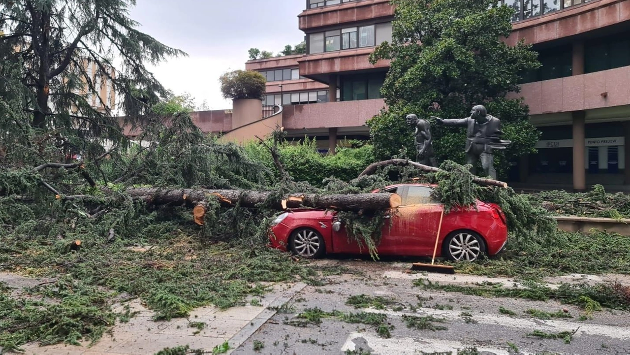 Una delle centinaia di auto danneggiate dall'ondata di maltempo che ha colpito la Lombardia nel 2023 Una delle centinaia di auto danneggiate dall'ondata di maltempo che ha colpito la Lombardia nel 2023