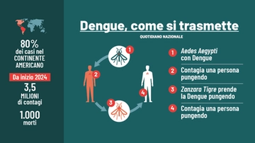 Dengue in Italia, Bassetti: “Agire subito”. L’America prevede la peggiore epidemia della storia