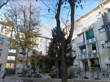 immagine articolo