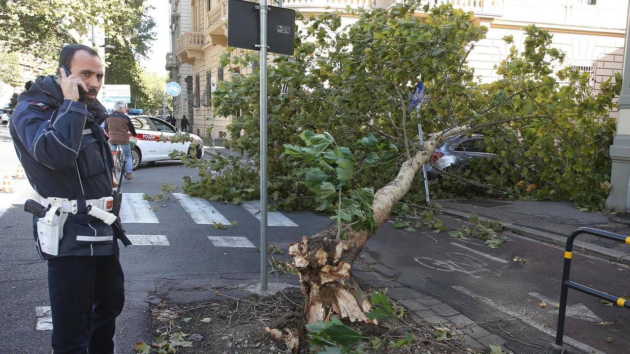 Le Polizie locali hanno lavorato al fianco dei pompieri e delle Protezioni civili per rimettere in sicurezza il territorio devastato Le Polizie locali hanno lavorato al fianco dei pompieri e delle Protezioni civili per rimettere in sicurezza il territorio devastato