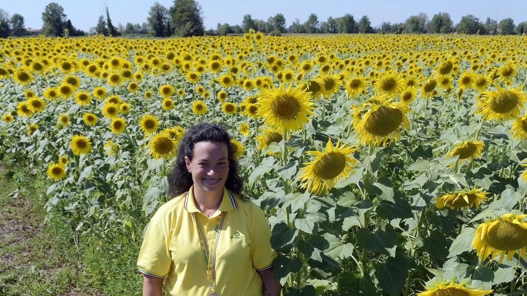 Gli eventi settembrini della Cascina Claudina, azienda agricola e fattoria sociale di Corneliano. In programma passeggiate notturne e benefiche, tra film sotto le stelle e pernottamenti in tenda. Gli eventi settembrini della Cascina Claudina, azienda agricola e fattoria sociale di Corneliano. In programma passeggiate notturne e benefiche, tra film sotto le stelle e pernottamenti in tenda.