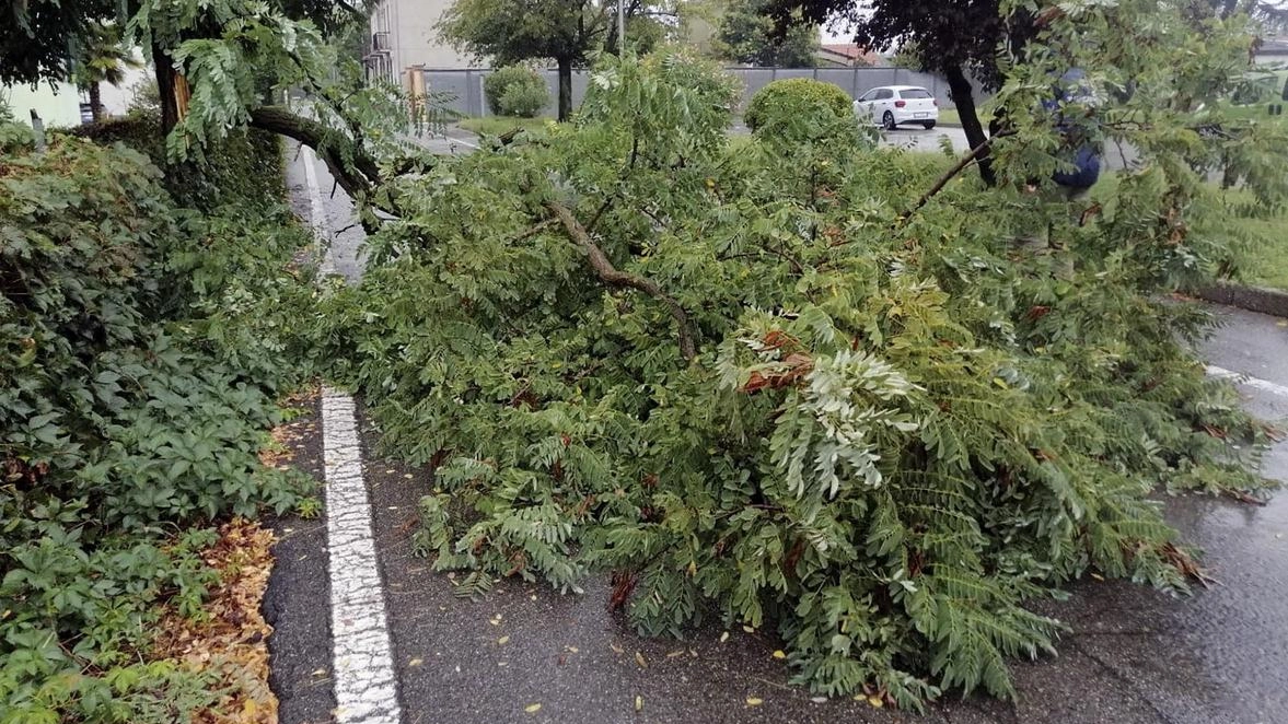 A Rho gli automobilisti si sono trovati imbottigliati a causa delle chiusure. Problemi anche a Vanzago e Lainate, Olona sorvegliato speciale a Pogliano. A Rho gli automobilisti si sono trovati imbottigliati a causa delle chiusure. Problemi anche a Vanzago e Lainate, Olona sorvegliato speciale a Pogliano.