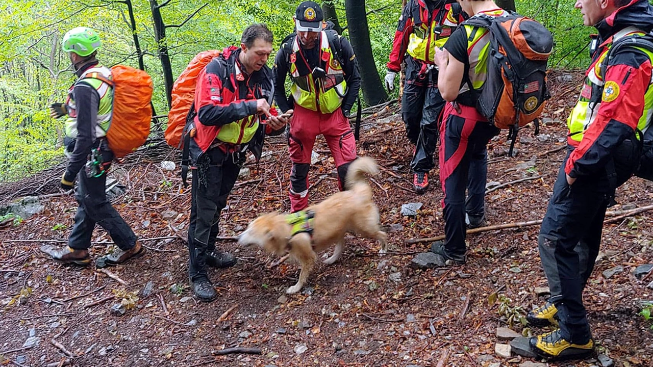 Na tussenkomst van de twee agenten werd de 69-jarige overgedragen aan het Alpine Rescue-team.
