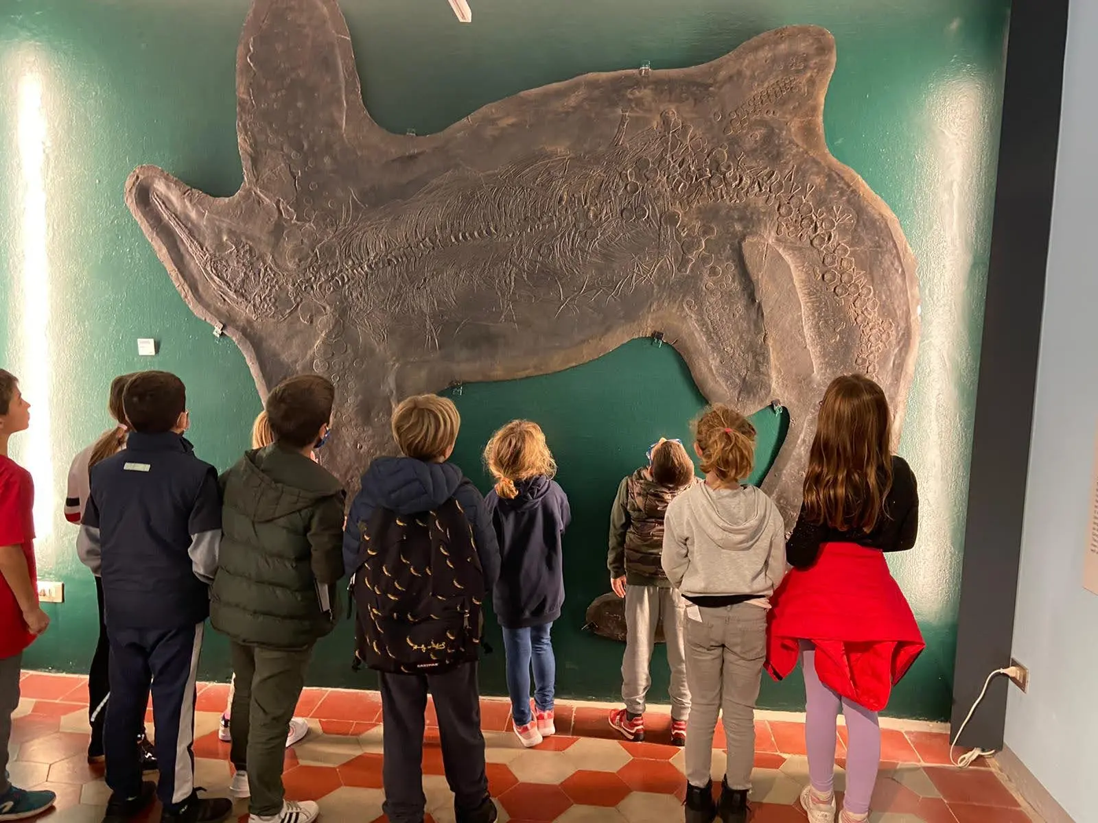 Dal Triassico al Lago Ceresio: aprono le visite esclusive al Museo dei Fossili di Besano