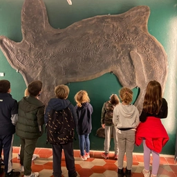 Dal Triassico al Lago Ceresio: aprono le visite esclusive al Museo dei Fossili di Besano