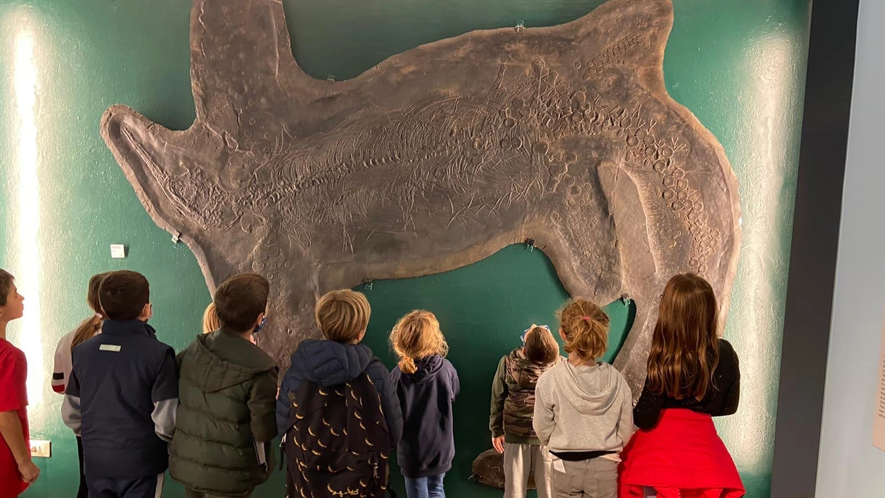Bambini durante una visita al Museo dei Fossili di Besano