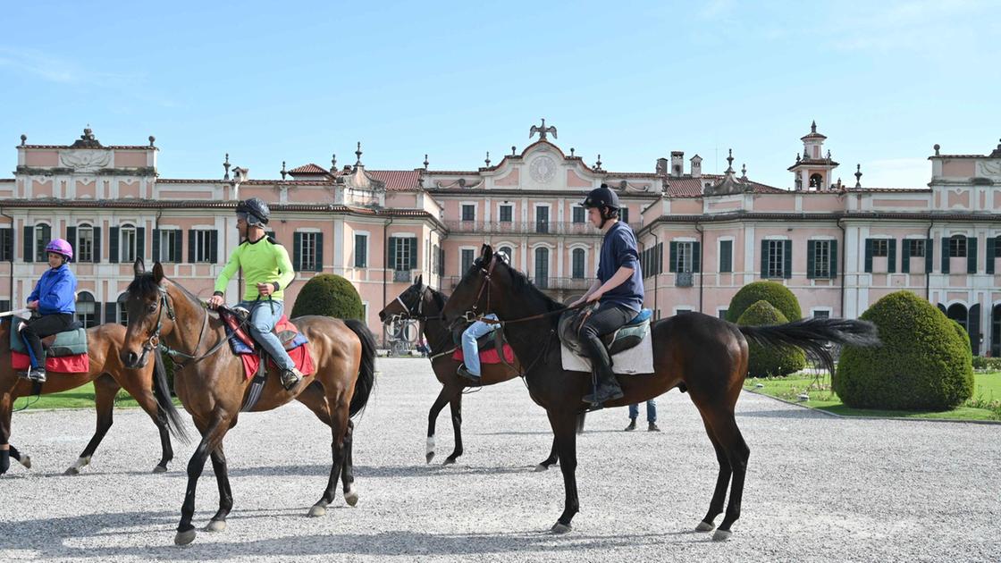 Tregua all’Ippodromo. I cavalli tornano in pista Tregua all’Ippodromo. I cavalli tornano in pista