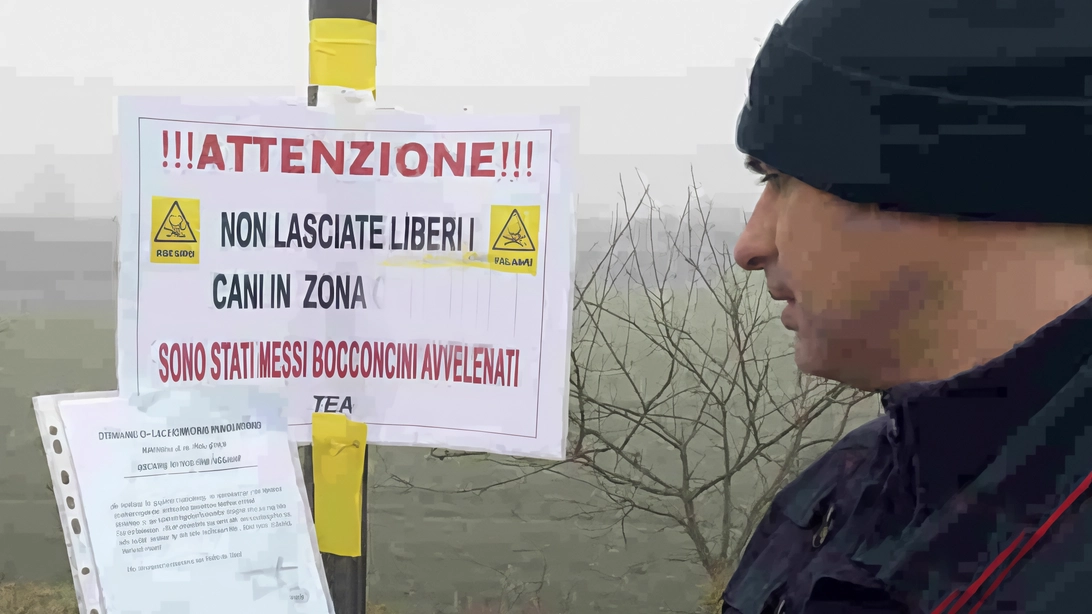 Barbara Zizza, referente provinciale della Leidaa, segnala un caso mortale in via Milazzo "Le istituzioni devono alzare l’attenzione, ai proprietari consiglio sempre di bonificare i prati". Barbara Zizza, referente provinciale della Leidaa, segnala un caso mortale in via Milazzo "Le istituzioni devono alzare l’attenzione, ai proprietari consiglio sempre di bonificare i prati".
