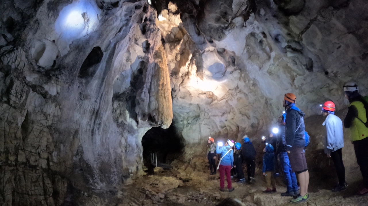 Nei giorni scorsi si è svolta un’iniziativa speciale per Halloween: un’occasione in più per tanti piccoli di vivere il brivido di entrare per la prima volta nella caverna nel cuore del complesso carsico del Triangolo Lariano Nei giorni scorsi si è svolta un’iniziativa speciale per Halloween: un’occasione in più per tanti piccoli di vivere il brivido di entrare per la prima volta nella caverna nel cuore del complesso carsico del Triangolo Lariano