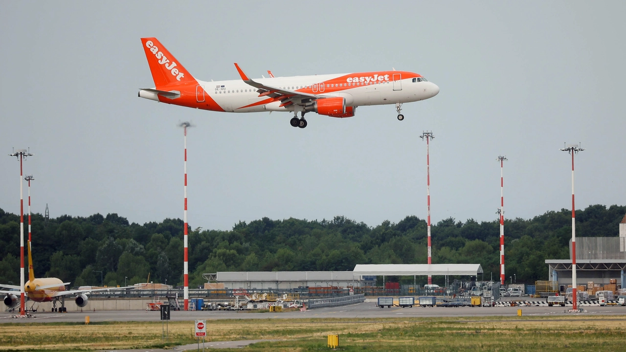 Un aereo della EasyJet in fase di atterraggio a Malpensa