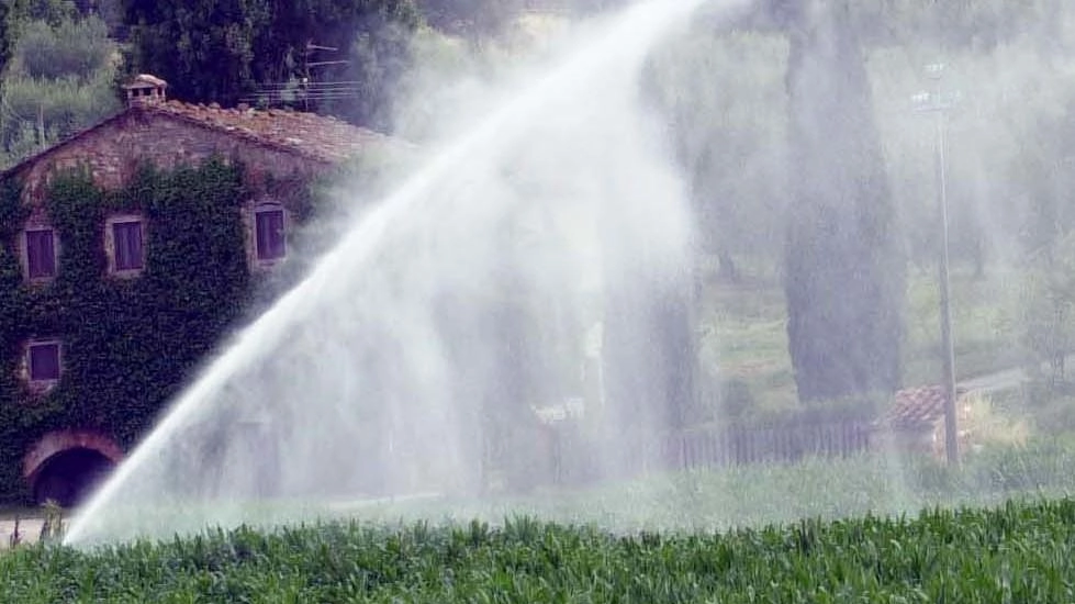 Oltre 1 milione di euro per incrementare il bando per i territori montani relativamente all’ottimizzazione della gestione idrica. Via... Oltre 1 milione di euro per incrementare il bando per i territori montani relativamente all’ottimizzazione della gestione idrica. Via...