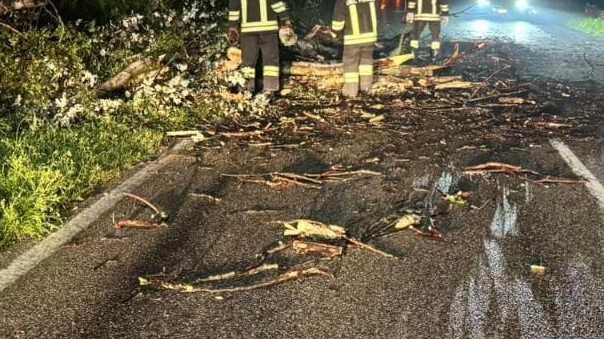 Forte temporale nel Lodigiano: alberi caduti sulla provinciale 26 a Turano Lodigiano. Intervento dei vigili del fuoco senza feriti, traffico momentaneamente bloccato. Aumentano gli interventi a causa del maltempo. Forte temporale nel Lodigiano: alberi caduti sulla provinciale 26 a Turano Lodigiano. Intervento dei vigili del fuoco senza feriti, traffico momentaneamente bloccato. Aumentano gli interventi a causa del maltempo.