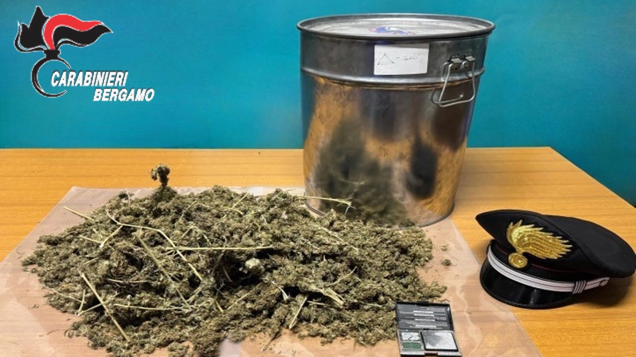 La droga sequestrata dai carabinieri di Lovere