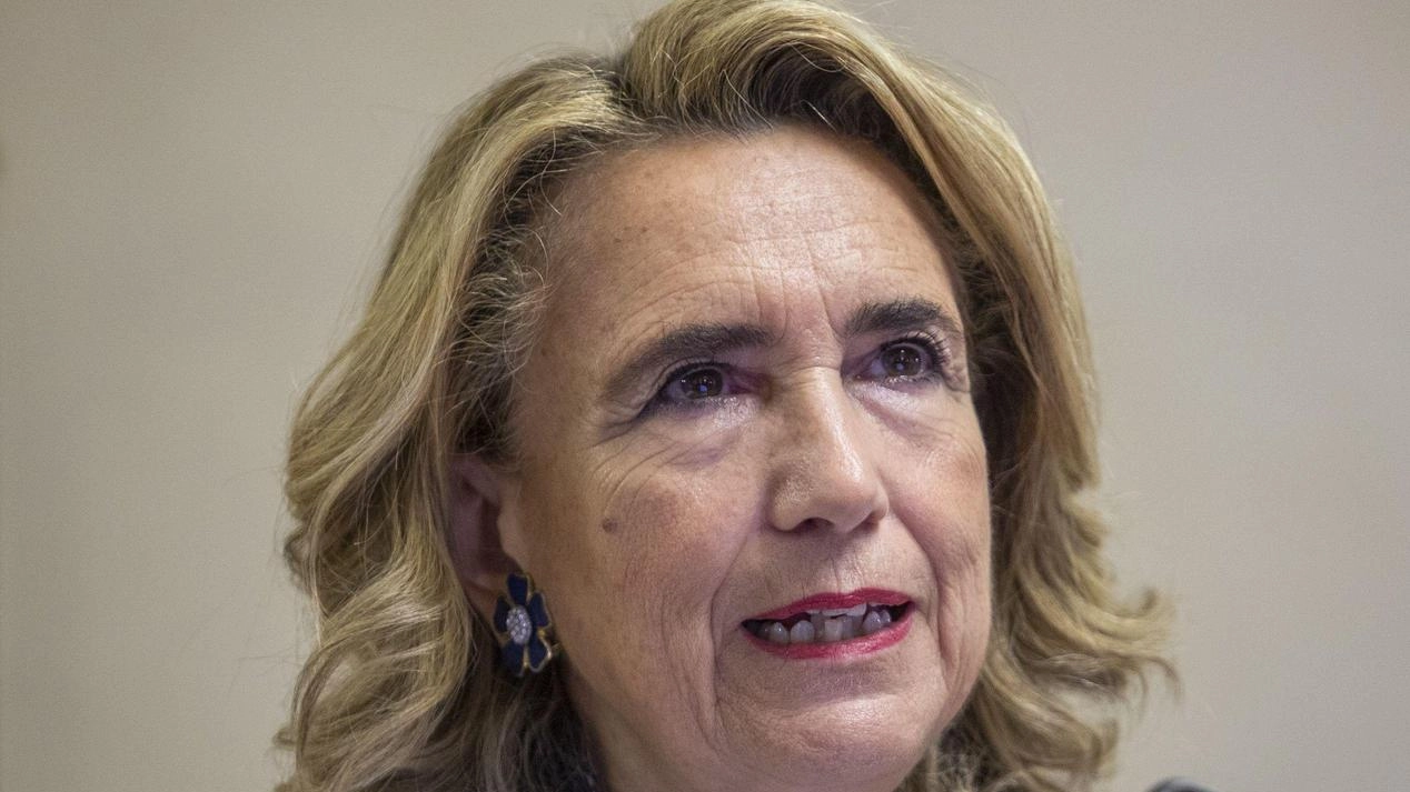 La presidente del Tribunale per i minorenni di Milano Maria Carla Gatto esprime preoccupazione per i disagi giovanili La presidente del Tribunale per i minorenni di Milano Maria Carla Gatto esprime preoccupazione per i disagi giovanili