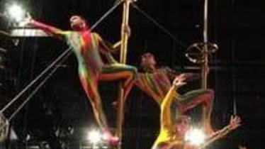 Nuove polemiche sul circo con animali Nuove polemiche sul circo con animali