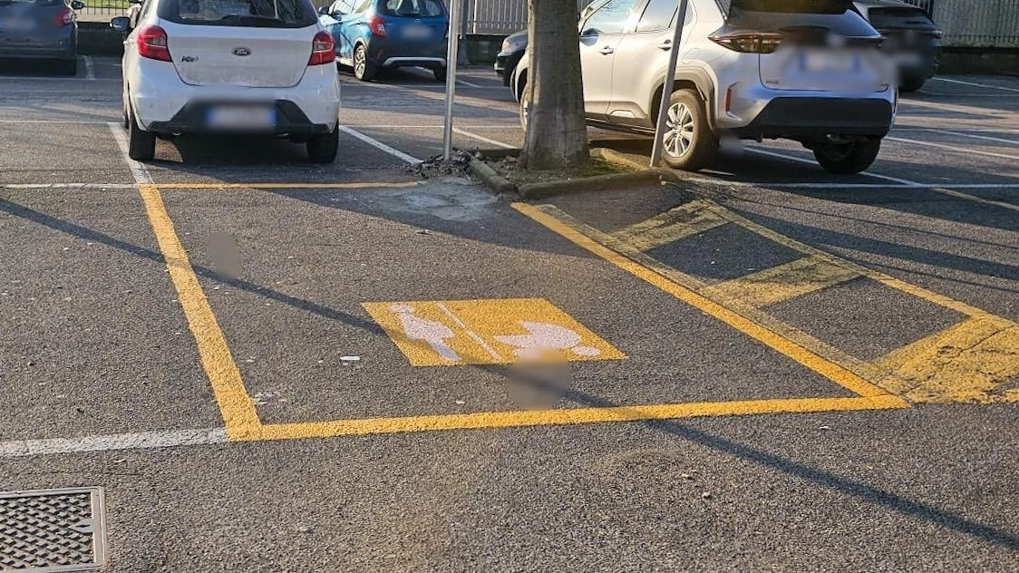Lo stallo rosa di piazza don Pozzoni a Zelo Buon Persico Lo stallo rosa di piazza don Pozzoni a Zelo Buon Persico