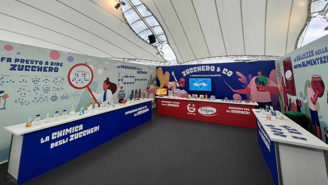 Mantova, al via Food & Scienze Festival: tra gli eventi un imperdibile viaggio nell’universo dello zucchero Mantova, al via Food & Scienze Festival: tra gli eventi un imperdibile viaggio nell’universo dello zucchero