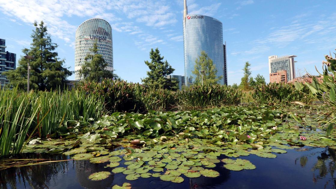 la paura del west nile terzo caso in lombardia 232 un 68enne del pavese