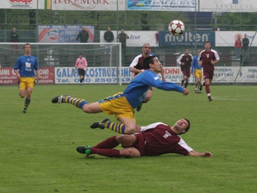 immagine articolo