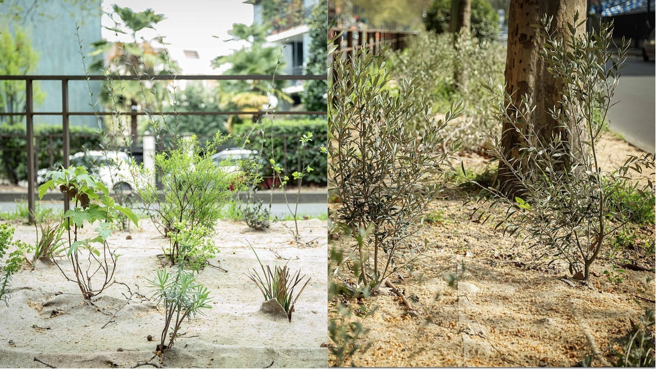 Progetto Milano Green Circle 90/91