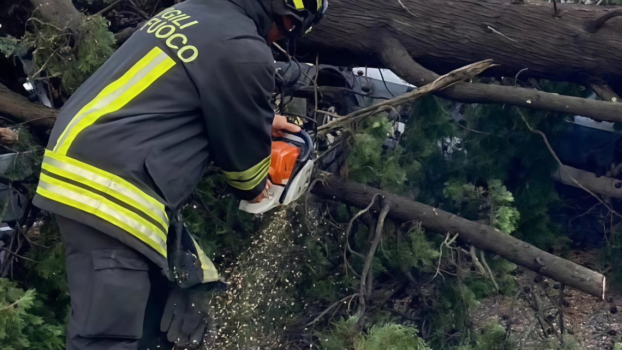 Prosegue anche oggi nel Varesotto l’ondata di maltempo, tanto che la Protezione civile ha confermato l’allerta annunciata sabato. Già...