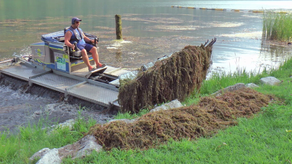 Nei giorni scorsi il primo sfalcio effettuato dai mezzi anfibio ha permesso di eradicare 20 tonnellate di piante acquatiche