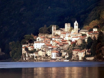 immagine articolo