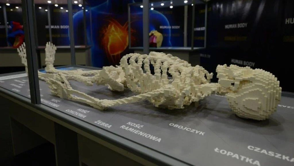 Il corpo umano in mattoncini Lego
