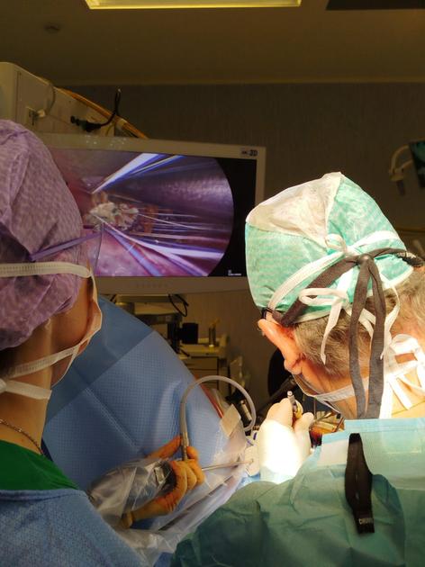All’ospedale di Legnano la valvola aortica si sostituisce con una mini incisione di 4 centimetri fra le costole All’ospedale di Legnano la valvola aortica si sostituisce con una mini incisione di 4 centimetri fra le costole