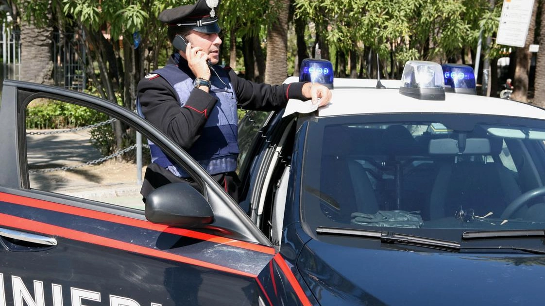 Sui furti nel Pavese indagano i carabinieri (foto d’archivio) Sui furti nel Pavese indagano i carabinieri (foto d’archivio)