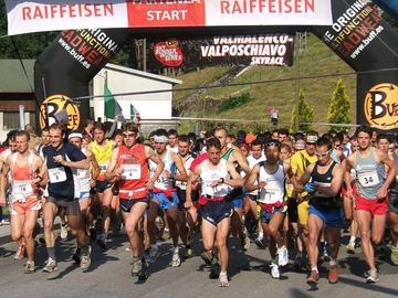 immagine articolo