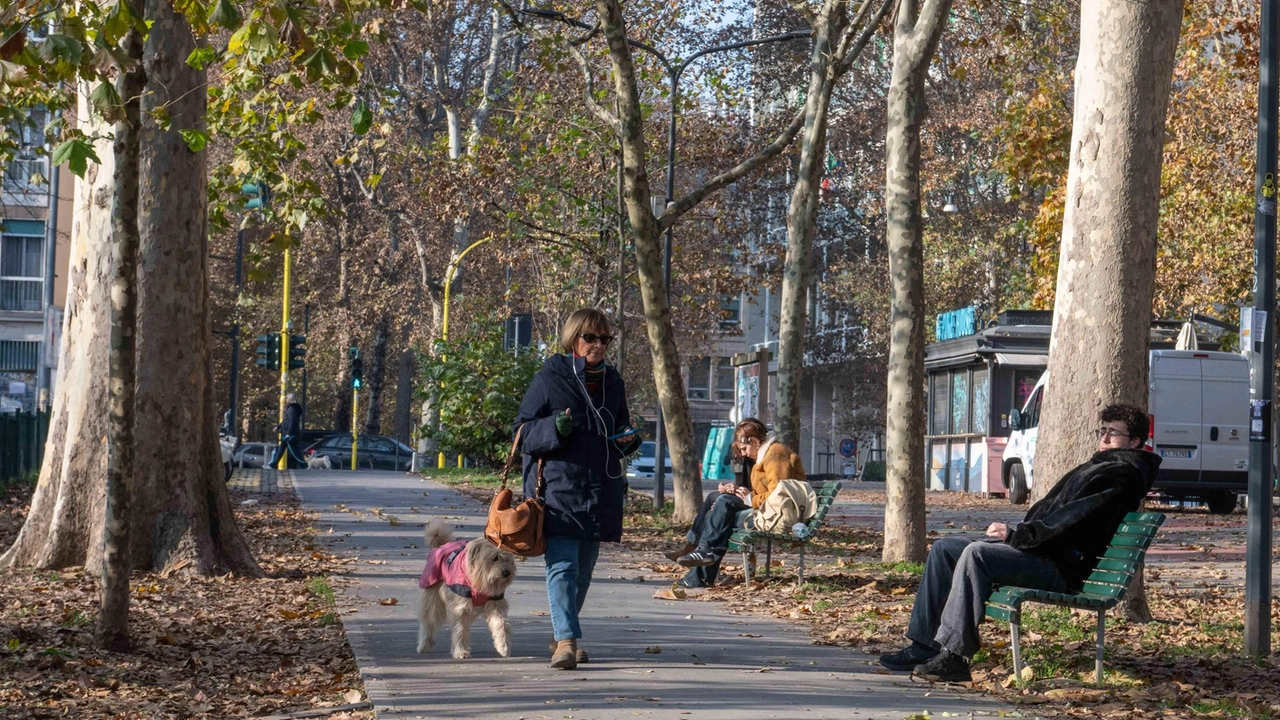 Chi ha una certa età lo ricorda come il “parco dei travestiti“, qualcun altro racconta dei primi ritrovi degli studenti... Chi ha una certa età lo ricorda come il “parco dei travestiti“, qualcun altro racconta dei primi ritrovi degli studenti...