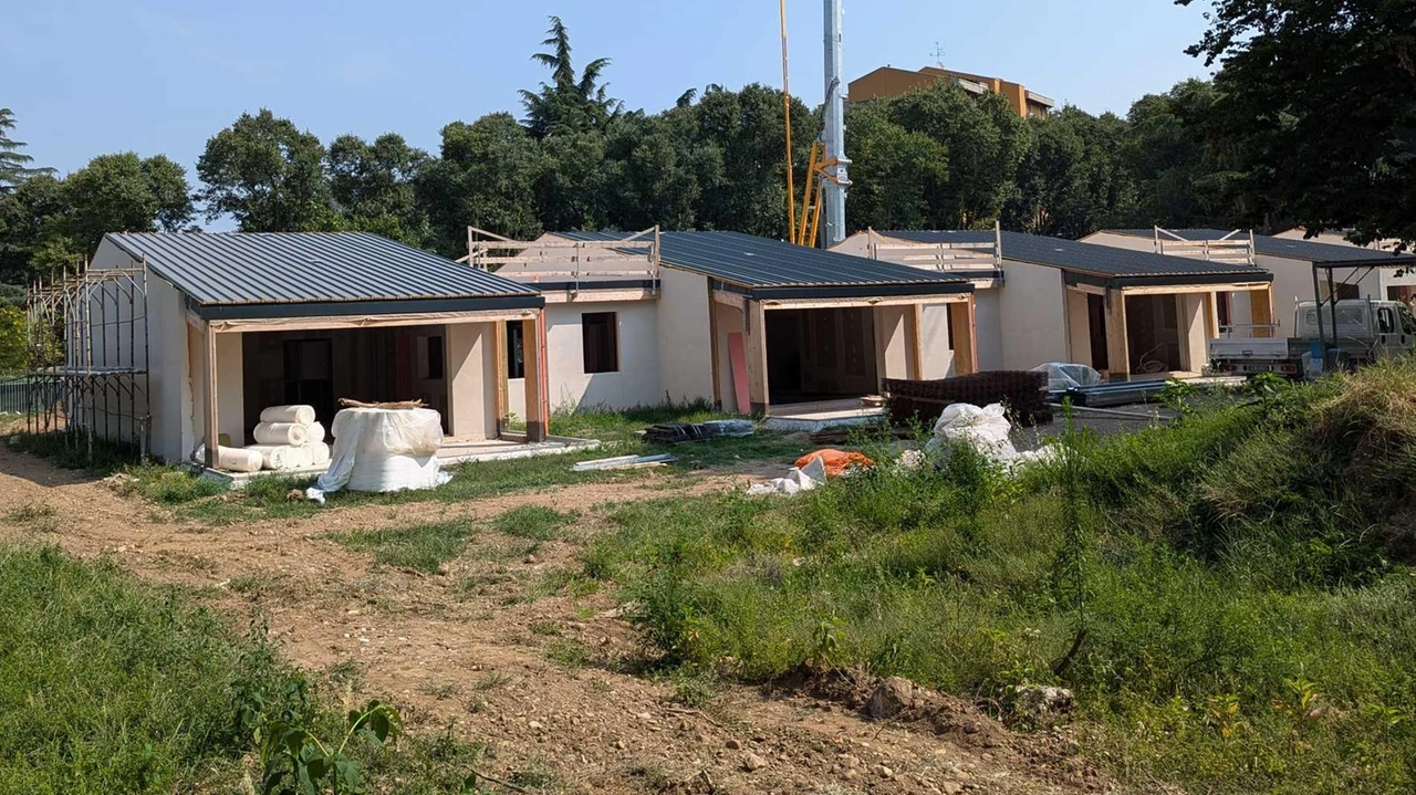 Pareti in legno portanti in Xlam e tanta luce elemento essenziale del progetto “verde“ finanziato dal Pnrr Pareti in legno portanti in Xlam e tanta luce elemento essenziale del progetto “verde“ finanziato dal Pnrr