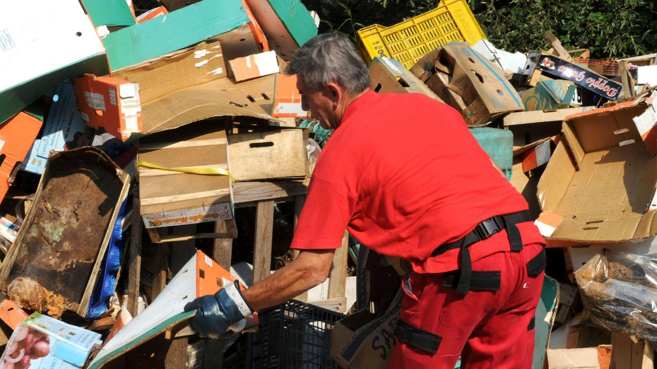 Associazioni e scuole in campo Numerose le iniziative in città contro il degrado e l’abbandono dei rifiuti Associazioni e scuole in campo Numerose le iniziative in città contro il degrado e l’abbandono dei rifiuti