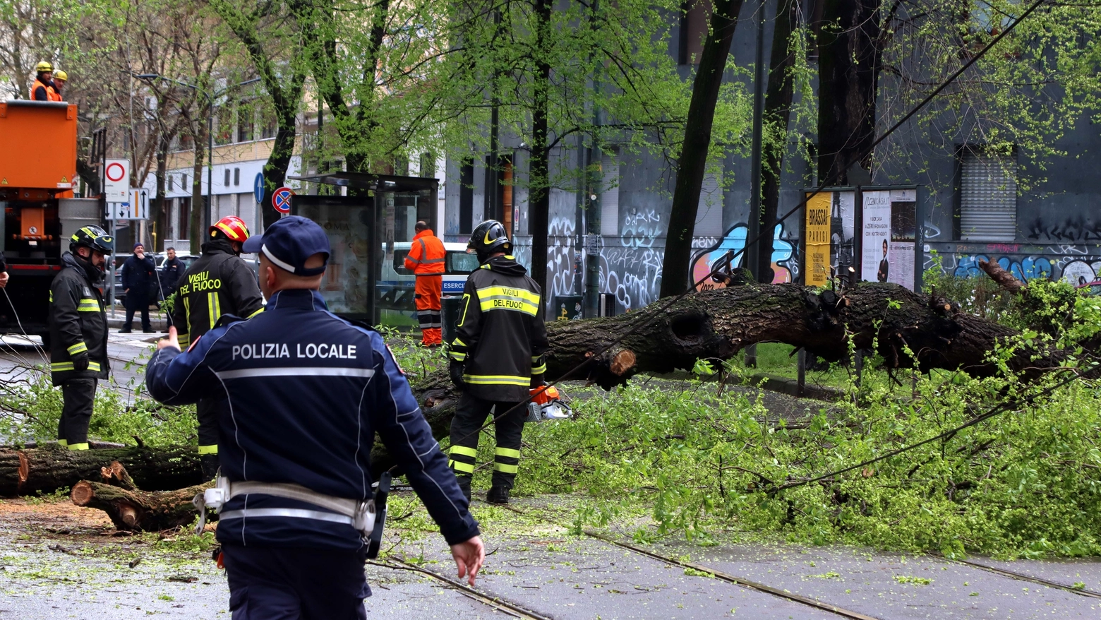 Maltempo a Milano, albero caduto a causa del forte vento
