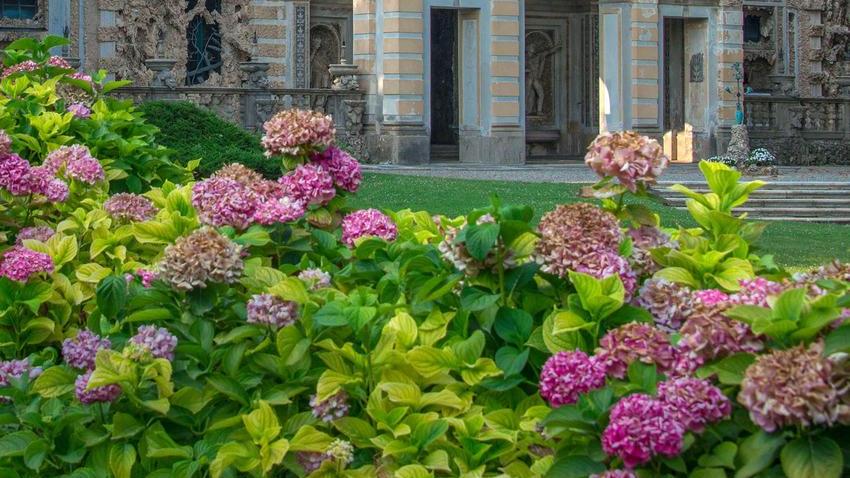 lainate porte aperte a villa litta la magia del cortile delle piogge
