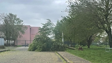 Lodi, territorio spazzato dalle raffiche di vento: alberi a terra e blackout