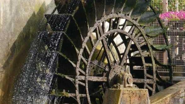 mulino day torna l appuntamento tra sapori e tradizioni