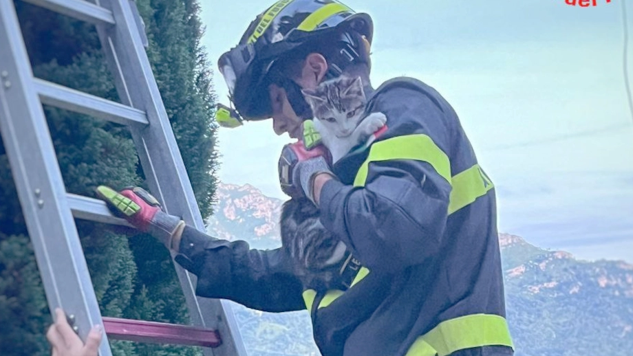 Il salvataggio di Mel