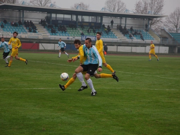 immagine articolo