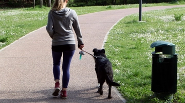 Milano, donna aggredita e molestata mentre porta a spasso il cane sul Naviglio Pavese