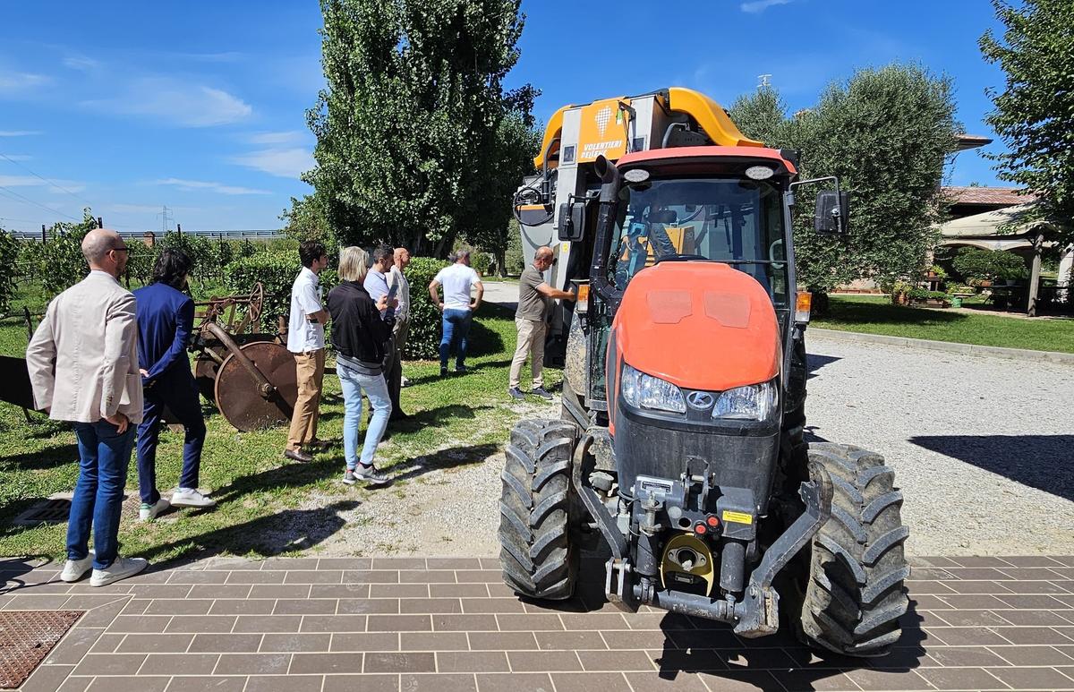 Vendemmia senza manodopera: la raccolta la fanno le macchine