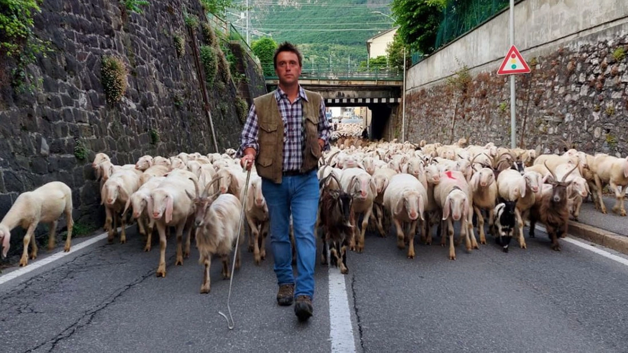 Grazie alla transumanza dei pastori si garantisce il presidio delle aree montane Grazie alla transumanza dei pastori si garantisce il presidio delle aree montane