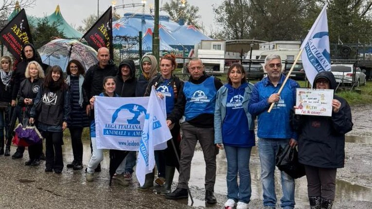 Gli attivisti manifestano sotto la pioggia a Lodi Gli attivisti manifestano sotto la pioggia a Lodi