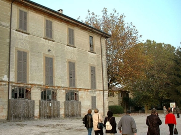 immagine articolo