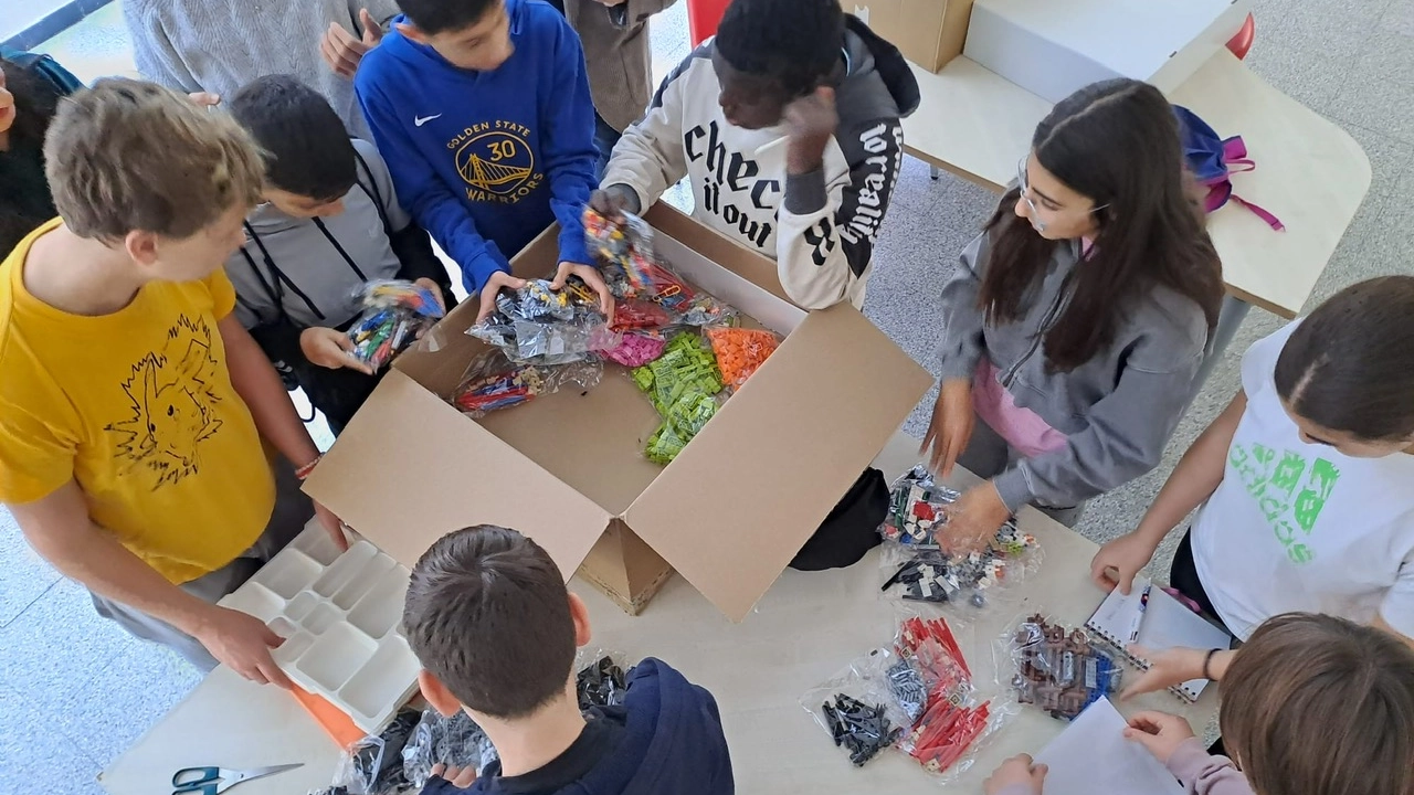 Il progetto “Little Brick Meet”, Il progetto “Little Brick Meet”,